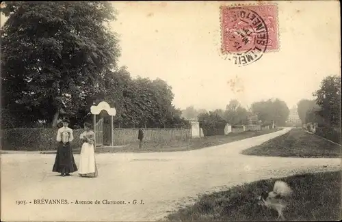 Ak Brevannes Val de Marne, Avenue du Clarmont