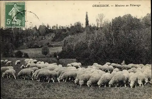 Ak Ormesson Val de Marne, Moutons au Paturage