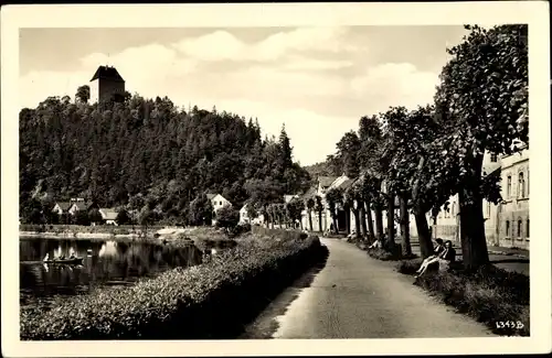 Ak Ziegenrück am Schiefergebirge Thüringen, Reif Promenade