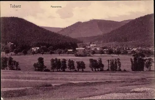 Ak Tabarz im Thüringer Wald, Panorama