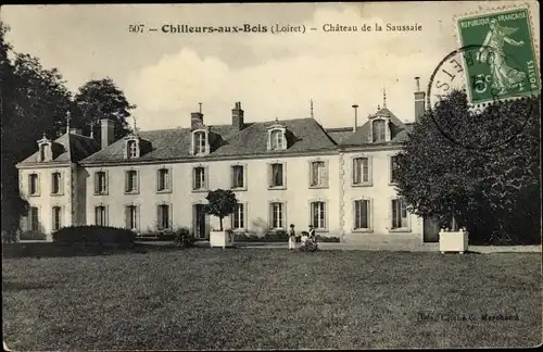 Ak Chilleurs aux Bois Loiret, Chateau de la Saussaie