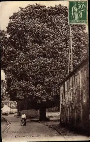 Ak Luzancy Seine et Marne, Maronnier Tri-Centenaire