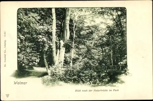 Ak Weimar in Thüringen, Naturbrücke im Park