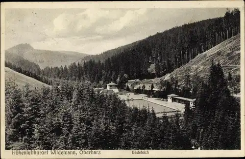 Ak Wildemann Clausthal Zellerfeld im Oberharz, Badeteich, Wald, Berge