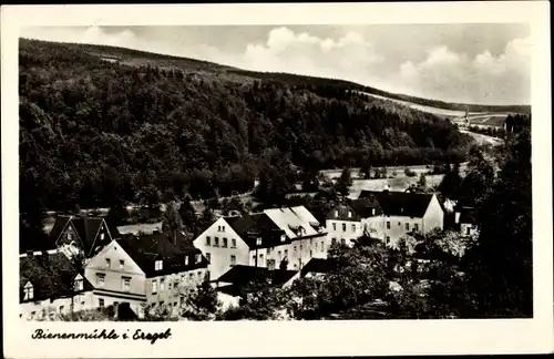 Ak Rechenberg Bienenmühle Erzgebirge, Teilansicht
