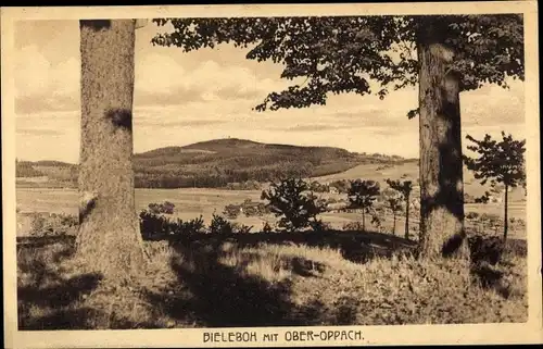 Ak Cunewalde Sachsen, Blick vom Bieleboh, Felder, Häuser