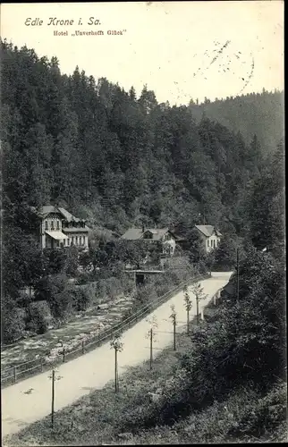 Ak Edle Krone Klingenberg Sachsen, Hotel Restaurant Unverhofft Glück, Wald