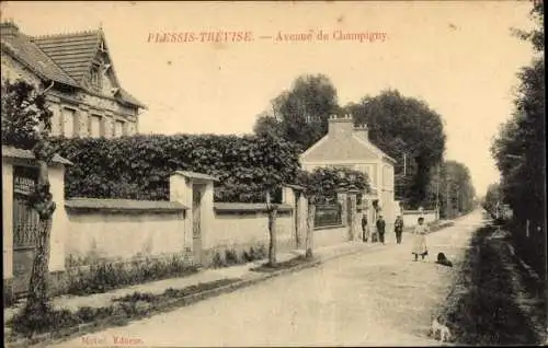 Ak Plessis Trevise Val de Marne, Avenue de Champigny