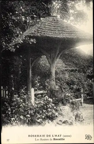 Ak L´Hay les Roses Maine-et-Loire, Roseraie, Les Rosiers de Rocailles