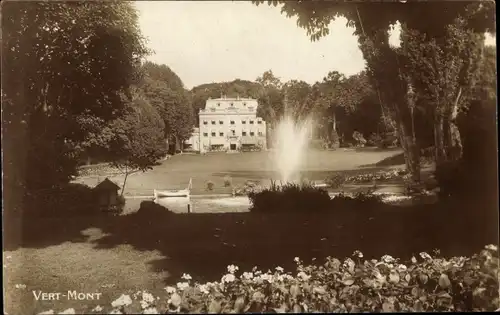 Ak Vert Mont Hauts-de-Seine, Château