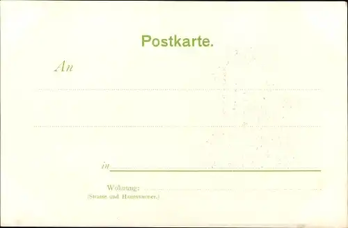 Ak Dichter Björnstjerne Björnson