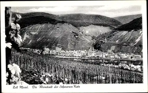 Ak Zell an der Mosel, Gesamtansicht, Weinberge