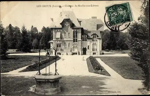 Ak Les Choux Loiret, Château du Moulin aux Lièvres