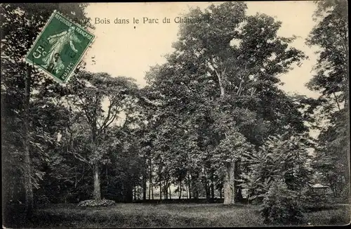 Ak Saint Gratien Val d’Oise, Bois dans le Parc du Château