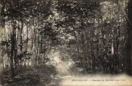 Ak Frepillon Val-d´Oise, Chemin du Moulin sous Bois