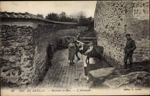 Ak Meulan en Yvelines, Montalet le Bois, Abreuvoir, Fermière avec Vache