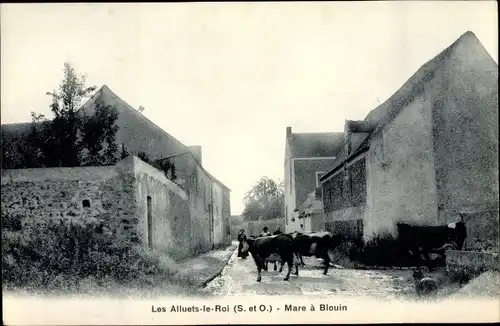 Ak Les Alluets le Roi Yvelines, Mare à Blouin, Vaches dans une Rue