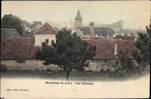 Ak Moisselles Val d’Oise, Gesamtansicht