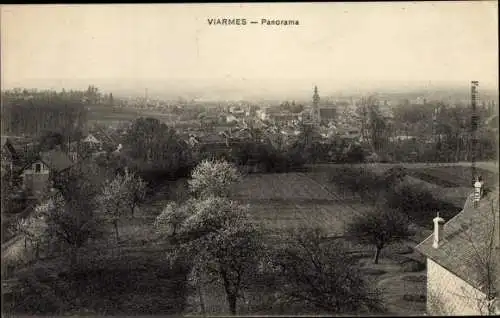 Ak Viarmes Val-d´Oise, Panorama