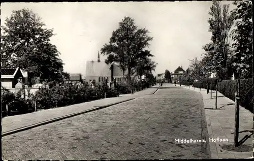 Ak Middelharnis Südholland, Hoflaan
