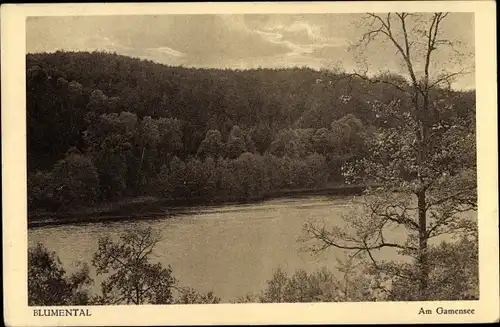 Ak Tiefensee Werneuchen in Brandenburg, Blick zum Gamensee, Wald