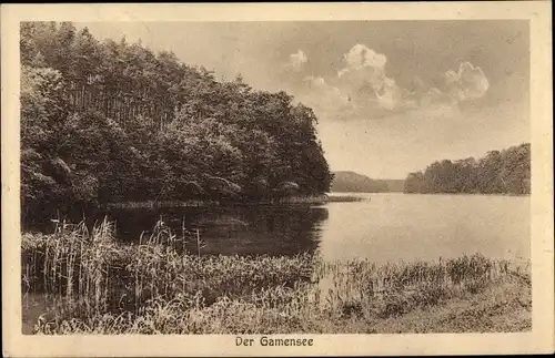 Ak Tiefensee Werneuchen in Brandenburg, Uferpartie am Gamensee