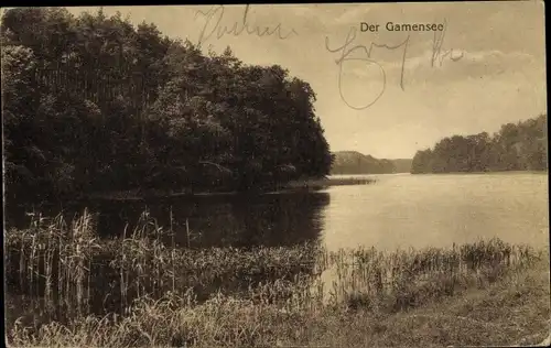 Ak Tiefensee Werneuchen in Brandenburg, Uferpartie am Gamensee