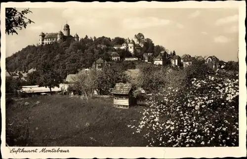 Ak Montabaur Rheinland Pfalz, Panorama vom Ort, Schloss, blühender Baum