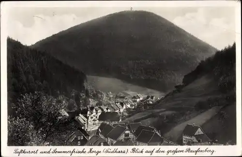 Ak Zorge Walkenried im Harz, Blick auf den großen Staufenberg