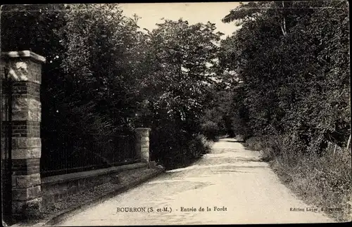 Ak Bourron Seine et Marne, Entrée de la Forêt