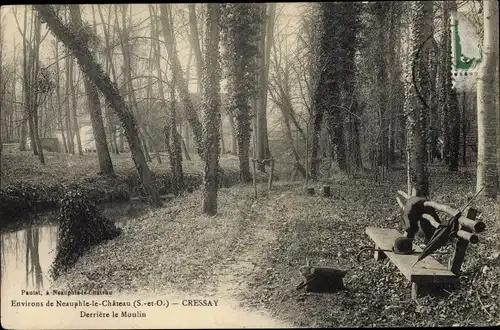 Ak Neauphle le Chateau Yvelines, Cressay, Bois derrière le Moulin