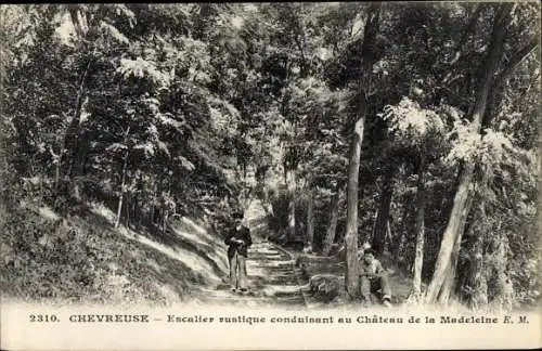 Ak Chevreuse Yvelines, Escalier rustique conduisant au Château de la Madeleine