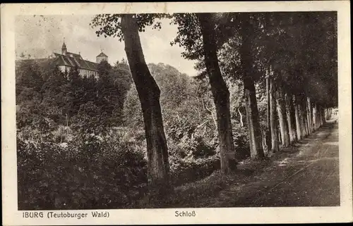Ak Bad Iburg am Teutoburger Wald, Schloss