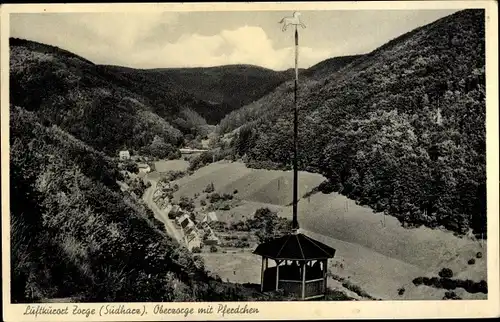 Ak Zorge Walkenried im Harz, Oberzorge mit Pferdchen