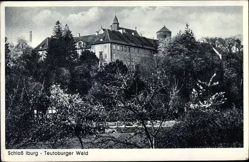 Ak Bad Iburg am Teutoburger Wald, Schloss