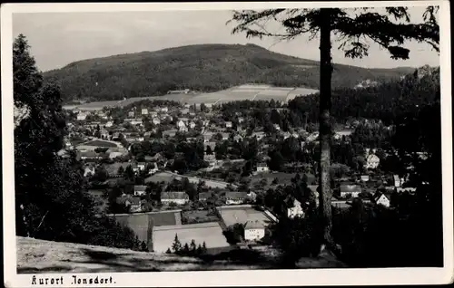 Ak Jonsdorf in Sachsen, Panorama