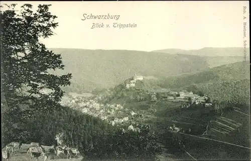 Ak Schwarzburg in Thüringen, Panorama vom Trippstein, Hirsche