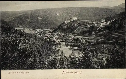 Ak Schwarzburg in Thüringen, Panorama vom Trippstein