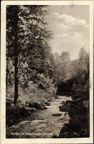 Ak Rabenau Osterzgebirge, Partie am Rabenauer Grund, Bach im Walde