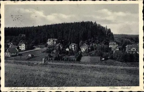 Ak Finsterbergen Friedrichroda im Thüringer Wald, Villenviertel