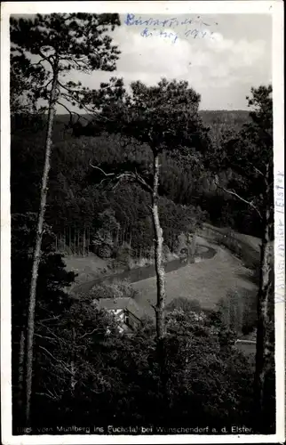 Ak Wünschendorf an der Elster, Blick vom Mühlberg ins Fuchstal