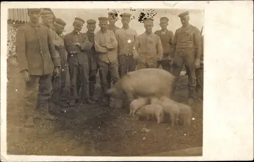 Foto Ak Gruppenfoto von Soldaten, Schwein, Ferkel, I. WK