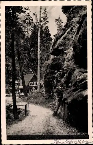 Ak Stadt Wehlen an der Elbe Sachsen, Altwalder Grund