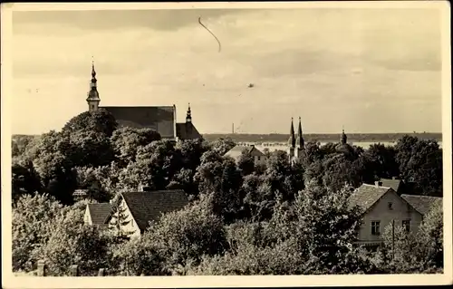Ak Neuzelle in Brandenburg, Teilansicht, Kirche