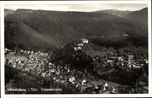 Ak Schwarzburg in Thüringen, Panorama vom Trippstein