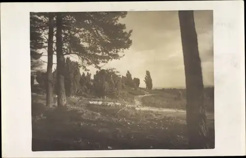 Foto Ak Wilsede Bispingen im Heidekreis, Am Totengrund