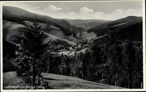 Ak Lerbach Osterode am Harz, Landschaftsblick, Ort