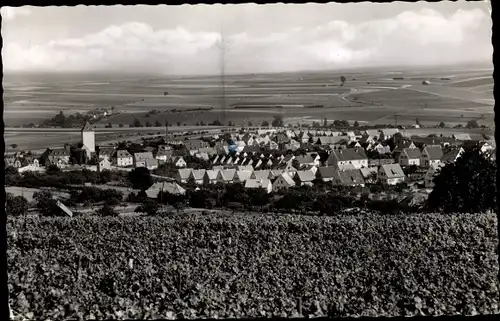 Ak Kirchheimbolanden in Rheinland Pfalz, Panorama