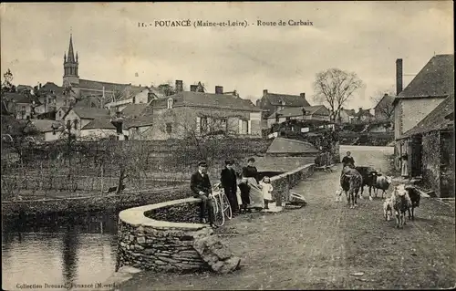 Ak Pouancé Maine et Loire, Route de Carbaix, Vaches