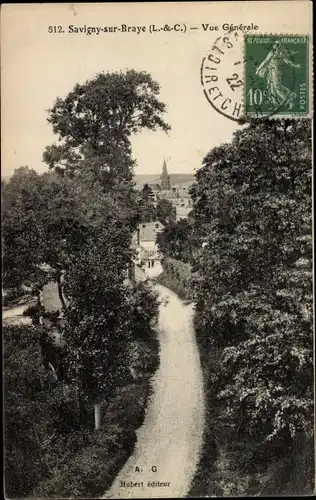 Ak Savigny-sur-Braye Loir et Cher, Vue Générale